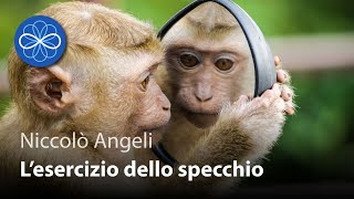 L'esercizio dello specchio (con la telecamera) - Niccolò Angeli