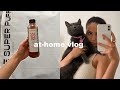 home vloggy | new coffee, kombucha, how i edit thumbnails, super puff delivery, making tinsel kandi