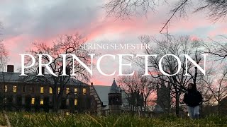 I'm an art major now (princeton spring semester recap)