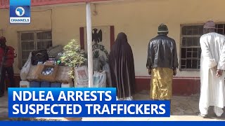 NDLEA Seizes 4000Kg Of Illicit Drugs In Kaduna, Arrests 148 Suspects