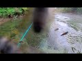 【うわぁ、、、】とんでもない数のアブの中、まさかの釣果が！！