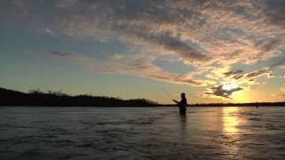 SIMMS Presents: Meat Eaters of Western Alaska