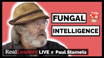 Paul Stamets on Fungal Intelligence