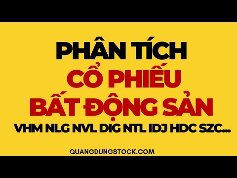 PHÂN TÍCH CỔ PHIẾU BẤT ĐỘNG SẢN ( VHM,NVL,NLG,KDH,SZC,GVR,HDG...) | ĐẦU TƯ CHỨNG KHOÁN