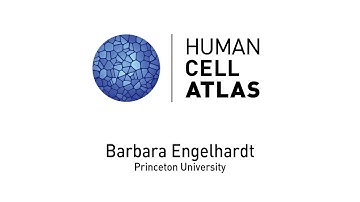 Barbara Engelhardt, Experimental design