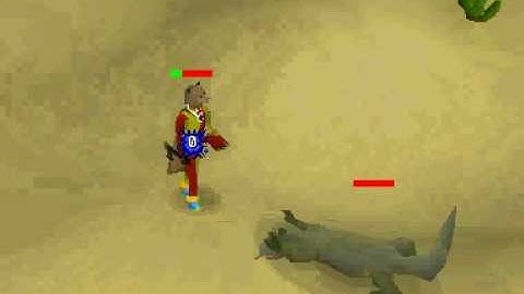 WTF??? Runescape Glitch???