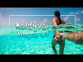 Maldyvai su Makalium. Maafushi sala - vlogas #1