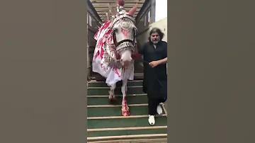Zuljinah 10th Muharram London 