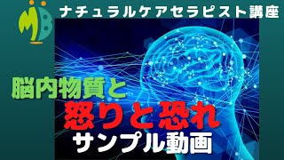 脳内物質 怒り 恐れノルアドレナリン サンプル動画 Youtube