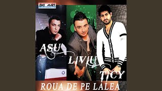 Video thumbnail of "Liviu Guta - ROUA DE PE LALEA"