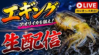 【エギング】あの日の生配信そうまとめ編