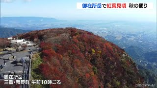 御在所岳で紅葉見ごろ　山頂に近い標高1000メートル付近　このあと“紅葉前線”は徐々にふもとへ 三重(2022/10/28)