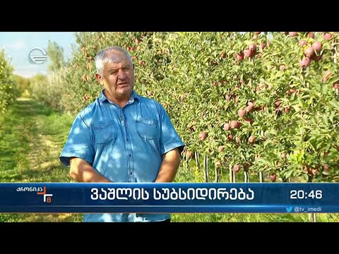 არასტანდარტული ვაშლის რეალიზაციის ხელშეწყობისთვის სახელმწიფო სუბსიდირების პროგრამას განახორციელებს