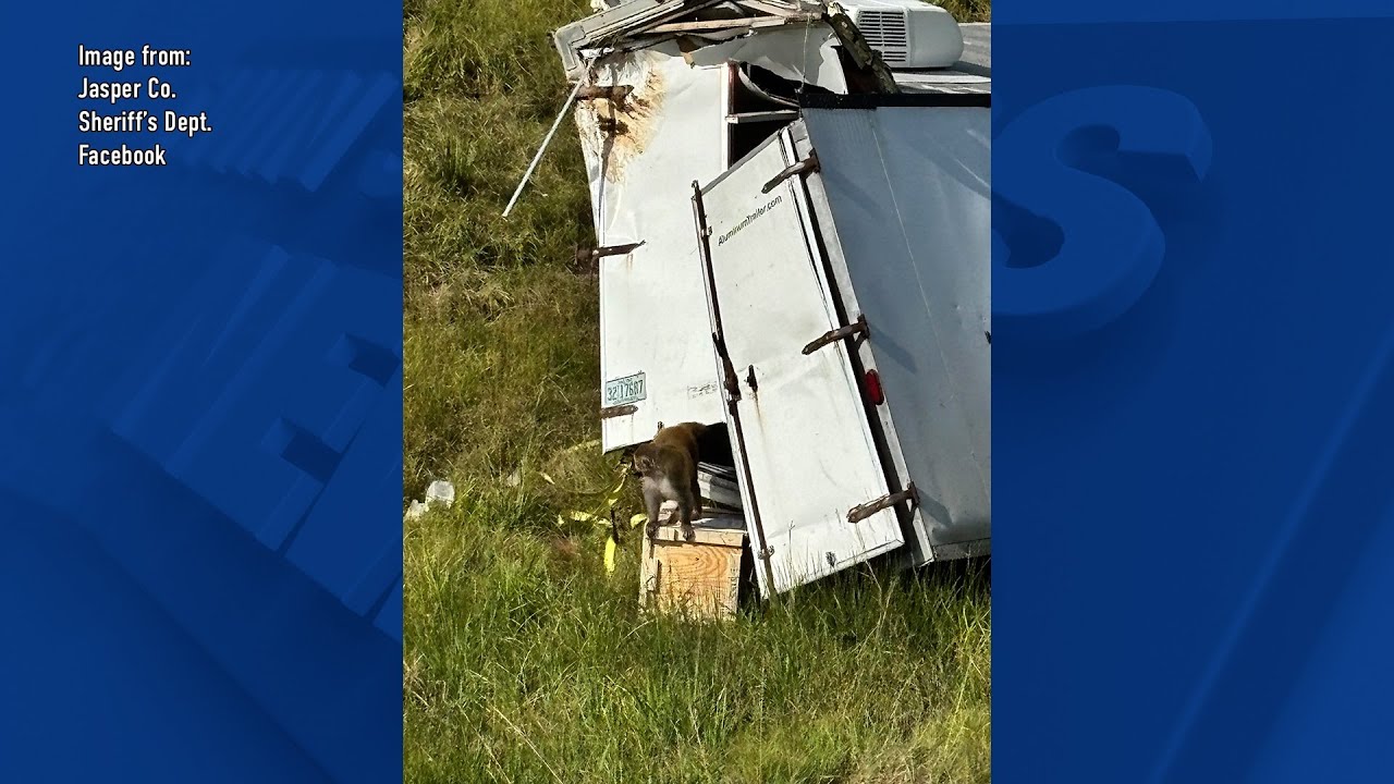 Final escaped monkey captured in Jasper County