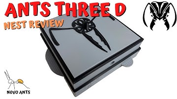 Ant nest review - 3D Printed Ant Nest - Ants Three D