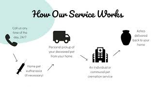 Peaceful Paws - How Our Pet Cremation Service Works