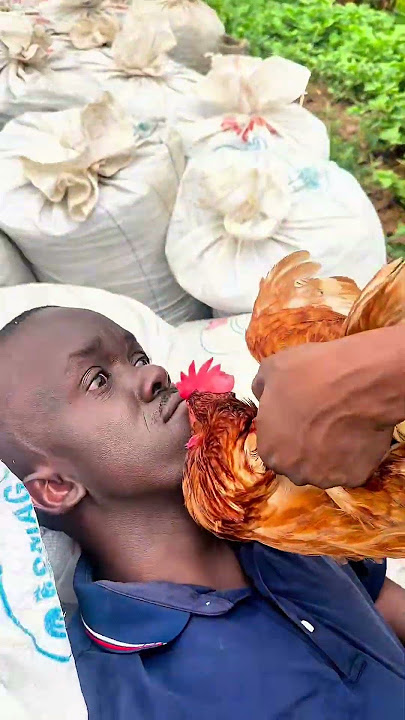 seanbridon funny moments 😂🤣😂 #facts #comedy #funny #seanbridon #memes #seanbridon #afzaalkamboh