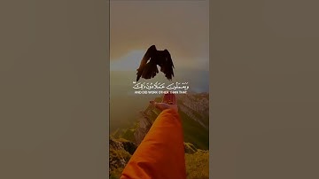 تلاوه تفوق الخيال😴💛||القارئ شريف مصطفى||ارح قلبَك ومسمعك||#quran/#القرآن_الكريم