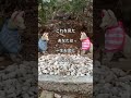 コレを見つけたら必ず再生して下さい！【遠隔参拝】折上稲荷神社⛩本編公開中！ #Shorts