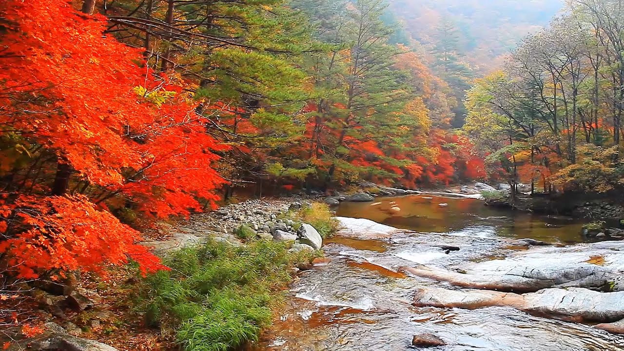 환상적인 최고의 단풍계곡 (Fantastic Autumn Leaves)~
