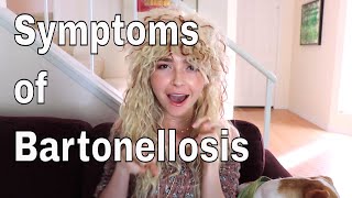 Symptoms of Bartonella Infections  Bartonellosis