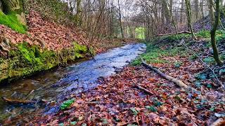 Stress Free - Relaxation Sounds for Positive Thinking - Calm and Relax. The sound of the river. by waldirelax 298 views 3 weeks ago 1 hour, 35 minutes