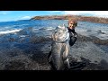 Spearfishing Hawaii 2020 (My Biggest Ulua)