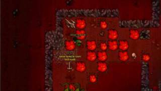 tibia balera hunt draggy
