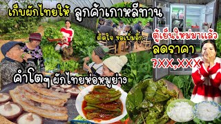 EP.582 Picking various kinds of Thai vegetables to cook for Korean customers. #Korean grilled pork.