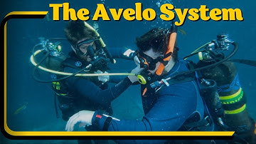 The Avelo System