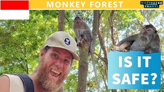 Monkey Forest Ubud Review | What to Expect + Full Guide to the Sanctuary - Bali with Kids
