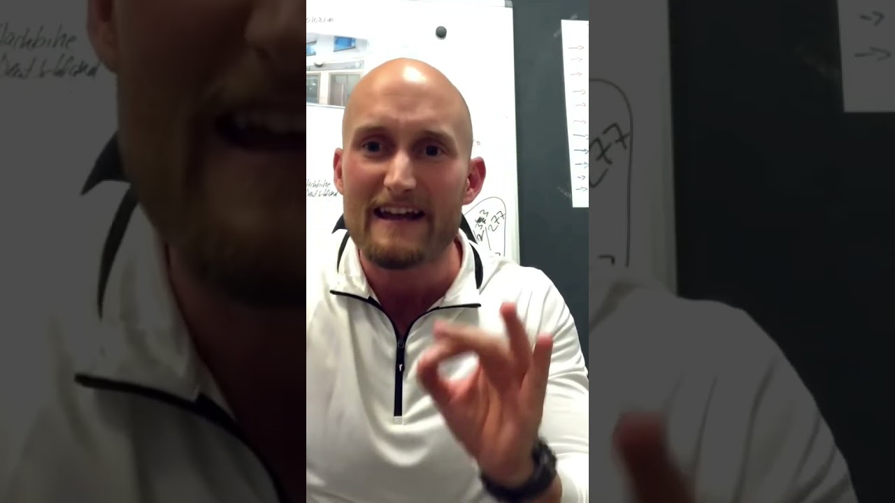 Karl Ess Faule Ratten