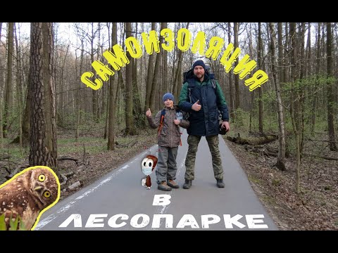 Самоизоляция в лесопарке с ребёнком без гречки, масок и санитайзеров