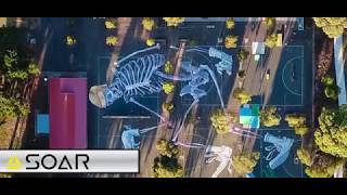 The Soar Quadtree - An Innovation in Multiscale Mapping