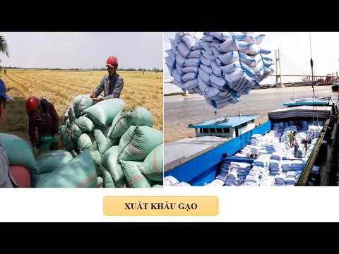 Địa lý: Thành phố Cần Thơ