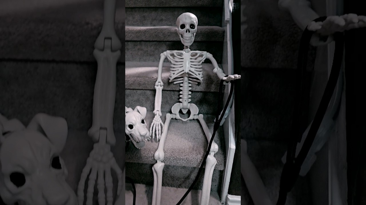 Just a Skeleton And His Dog #halloween #halloweenhomedecor #skeleton