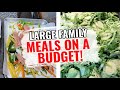 COOK WITH ME | LARGE FAMILY MEALS ON A BUDGET | WHAT'S FOR DINNER?