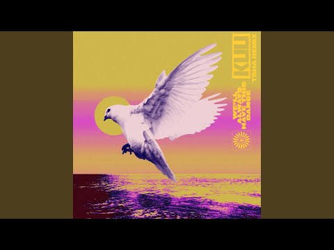 We'll Always Have This Dance (feat. Shungudzo) (TSHA Remix)