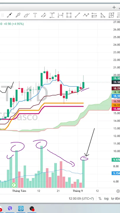 TOP 3 CỔ CANH MÚC TUẦN SAU #cổphiếutăngtrần #chungkhoan #trading #dautuchungkhoan #chungkhoanhomnay