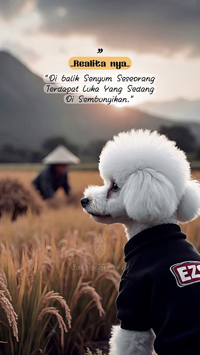 Di balik senyum seseorang ada luka yang di sembunyikan #elziostory #storyharian #storywa #shorts