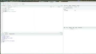 Rstudio: Variables, Vectors, and the Environment Pane Wealth