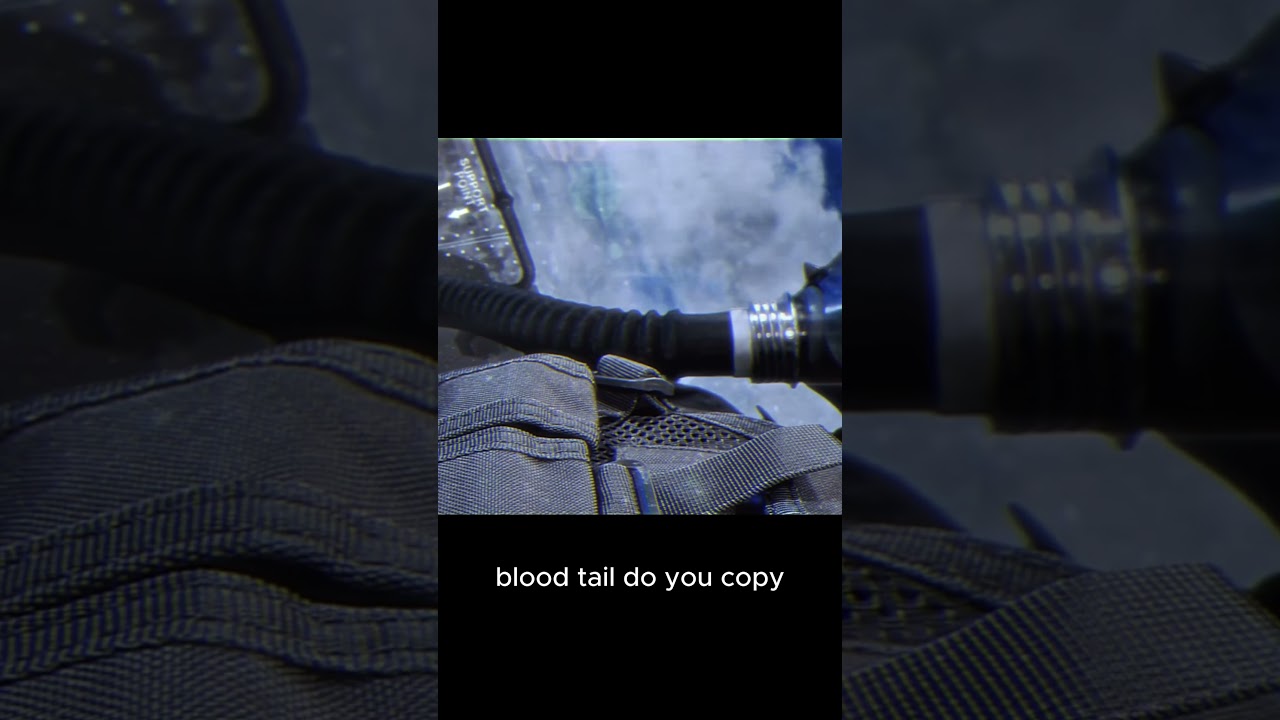 Blood-Tail vs Long Beaks