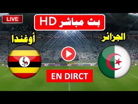 بث مباشر مباراة الجزائر ضد اوغندا تصفيات كأس العالم 2026