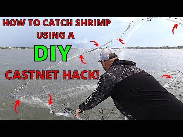 HOW TO CATCH SHRIMP USING A DIY CAST NET HACK - Plus Step by Tips