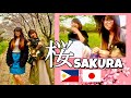 JAPANESE GIRLFRIEND SPEAKING TAGALOG WITH FILIPINA|SPRING IN JAPAN NAGOYA|CHERRY BLOSSOM|SAKURA