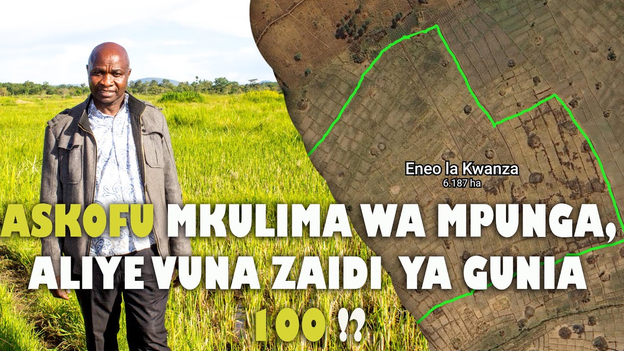 Mchungaji Afichua Siri ya UTAJIRI Kwenye Kilimo Cha MPUNGA: 'Amevuna Zaidi ya Gunia 100 Za Mpunga🌾💰