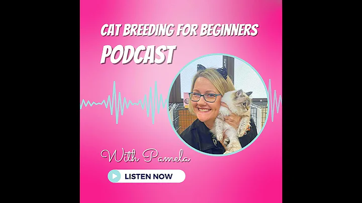 Watch the video about "Let's Learn All About Local Cat Show Judges " - The Cat Breeding For Beginners Podcast
