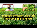 তামাক চাষ করা যে কারনে সবাই ত্যাগ করতেছে 🌱 |  তামাক | Mitali Agro