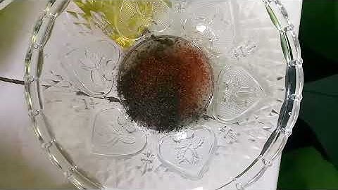 TUGAS INFORMATIKA MEMBUAT VLOG HOW TO - REALITY                  #tugassekolah #minivlog #fypp