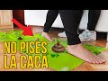 JUEGO DE PISAR EXCREMENTOS ¡NO PISES LA CACA!